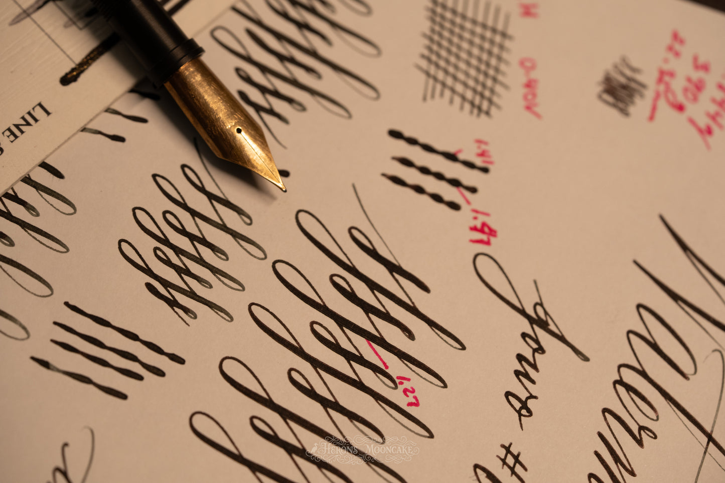 Jowo 6 Nib Unit | Waterman's | #17 Hundred Year | 14k Gold | FM Flex