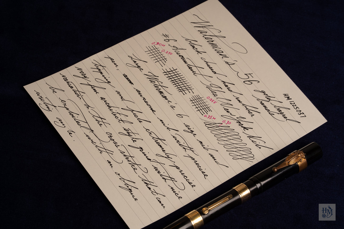Waterman's 56, BHR, GPT Cicada Clip, #6 Accountant 14k