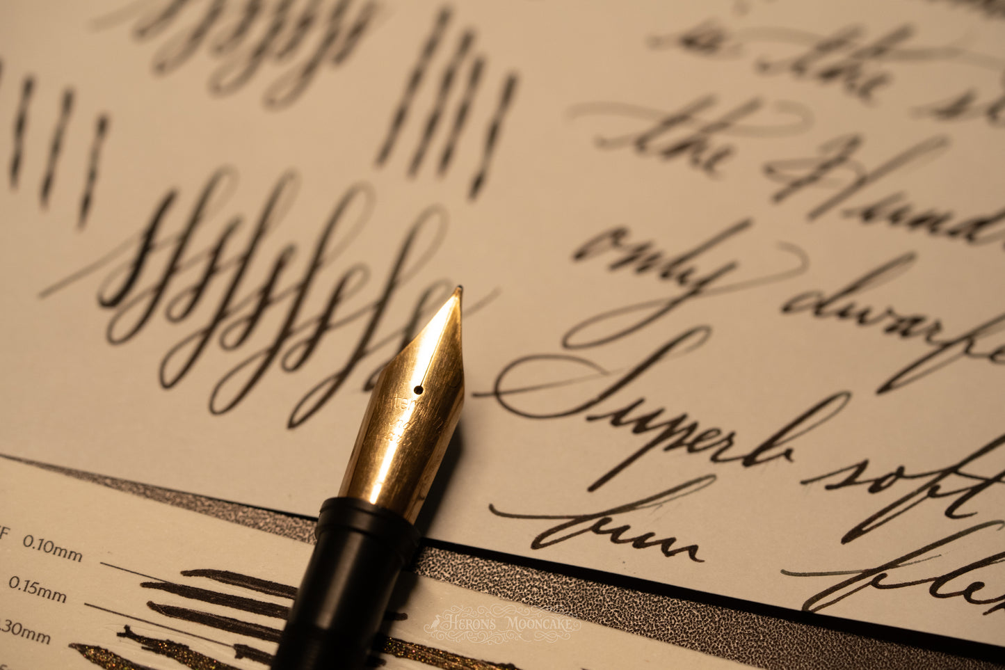 Jowo 6 Nib Unit | Waterman's | #17 Hundred Year | 14k Gold | FM Flex