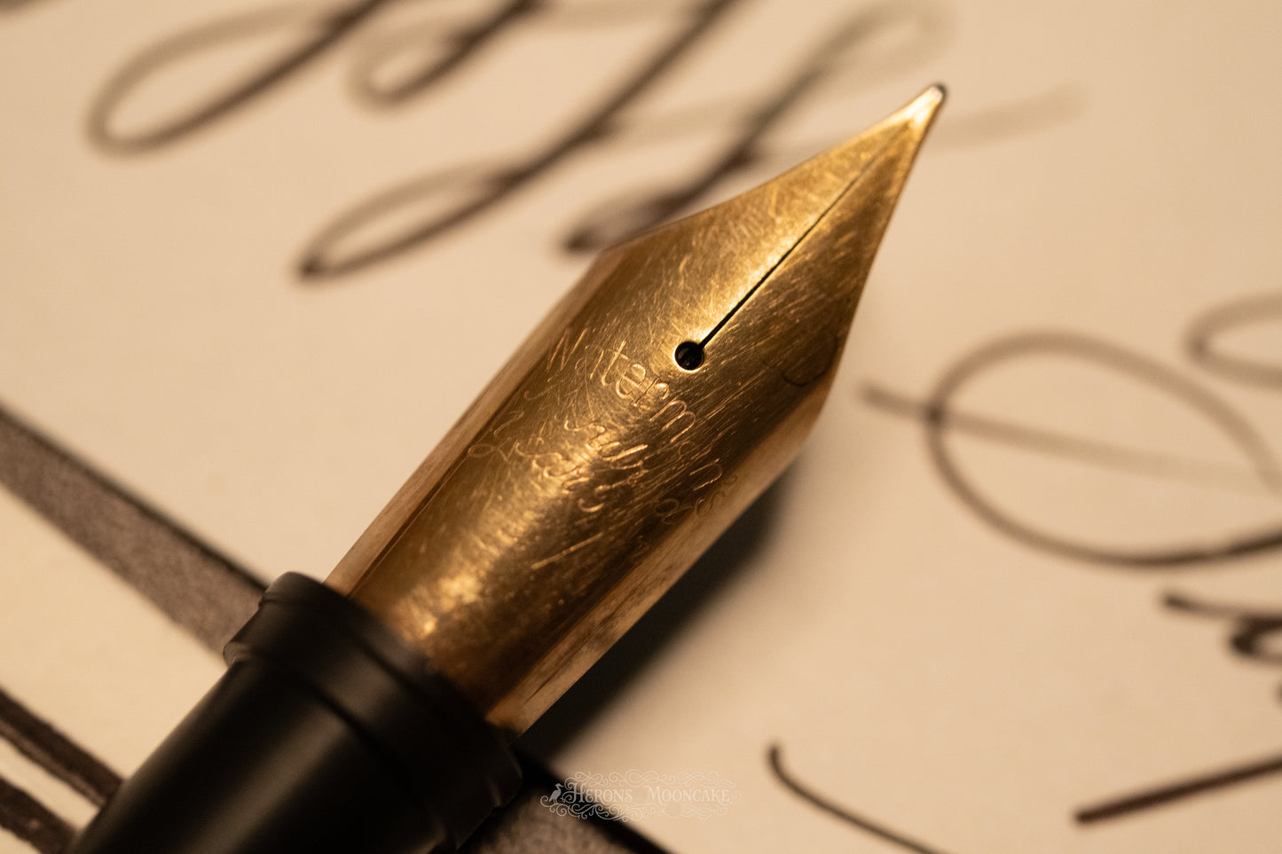 Jowo 6 Nib Unit | Waterman's | #17 Hundred Year | 14k Gold | FM Flex