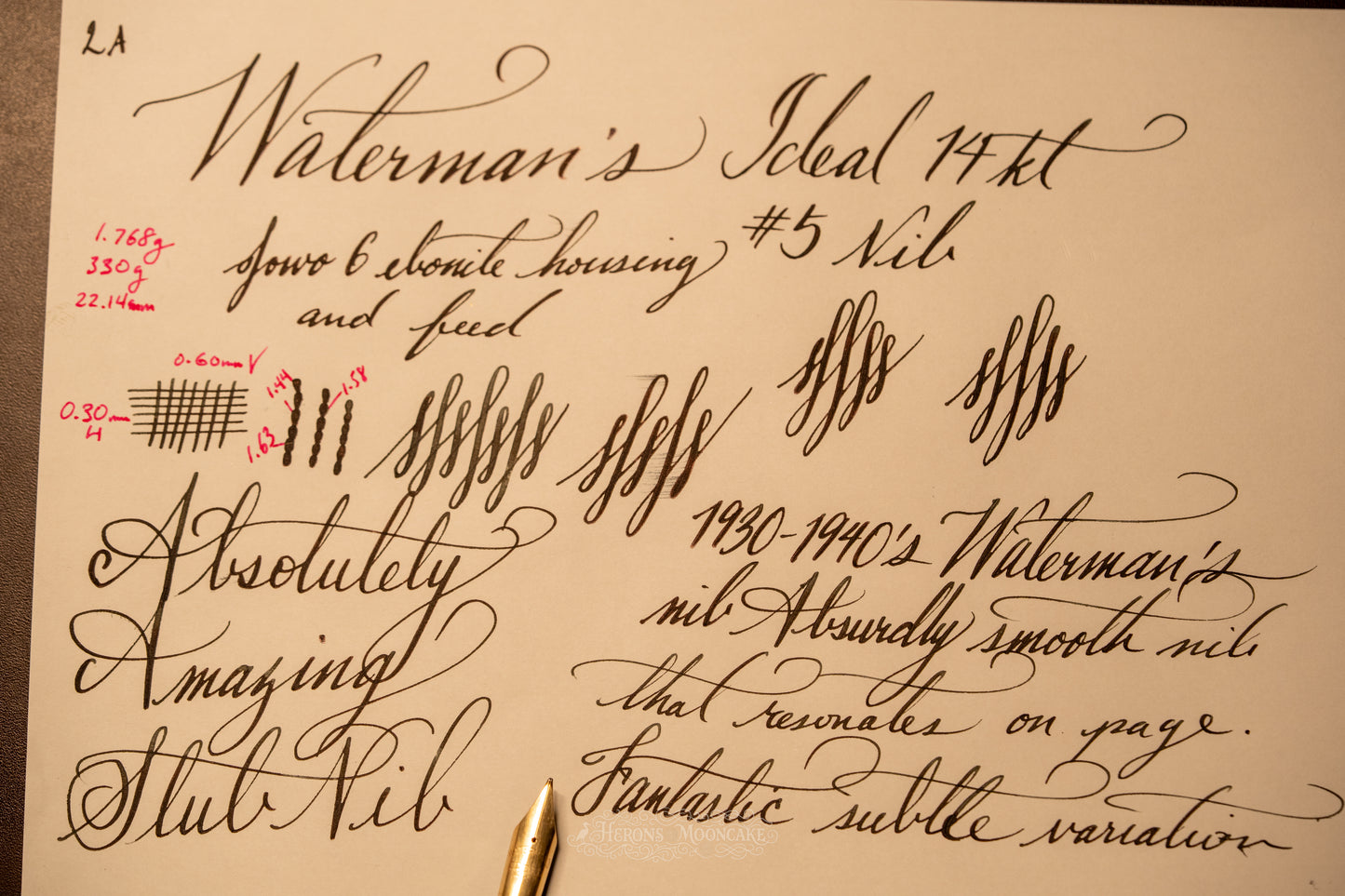 Jowo 6 Nib Unit | Waterman's | #5 Ideal | 14k Gold | Medium Super Flex Stub