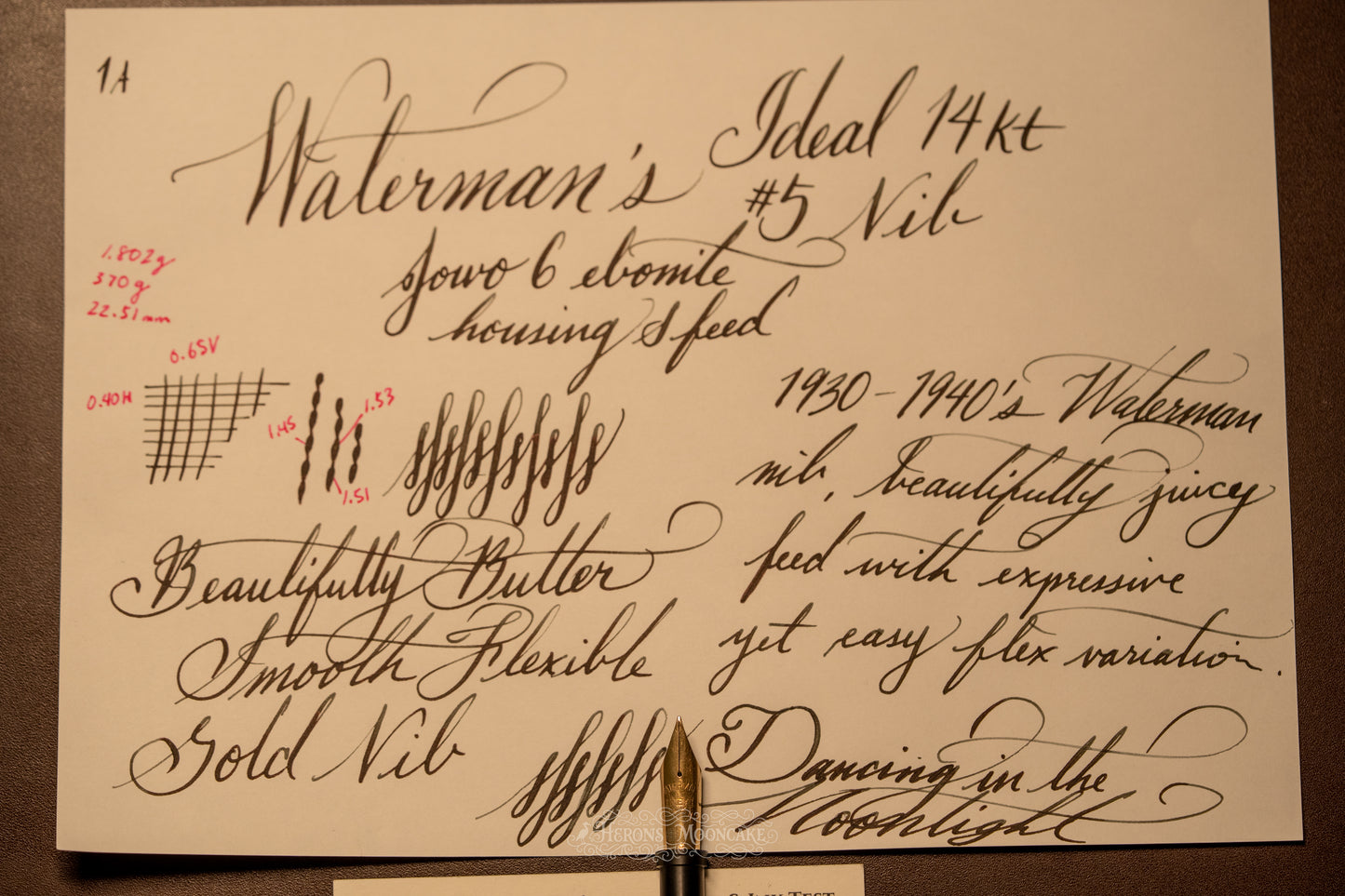 Jowo 6 Nib Unit | Waterman's | #5 Ideal | 14k Gold | Medium Flex Stub